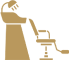 salon2